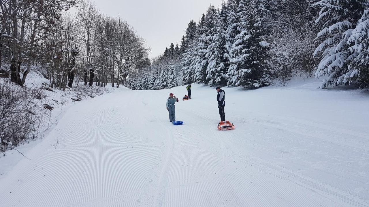 Un Air De Bretagne A La Montagne-Studio Avec Balcon ヴィラール・ド・ラン エクステリア 写真